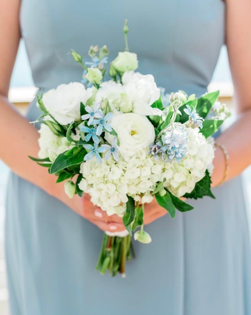 Chapman's Florist & Greenhouse - Featured Image